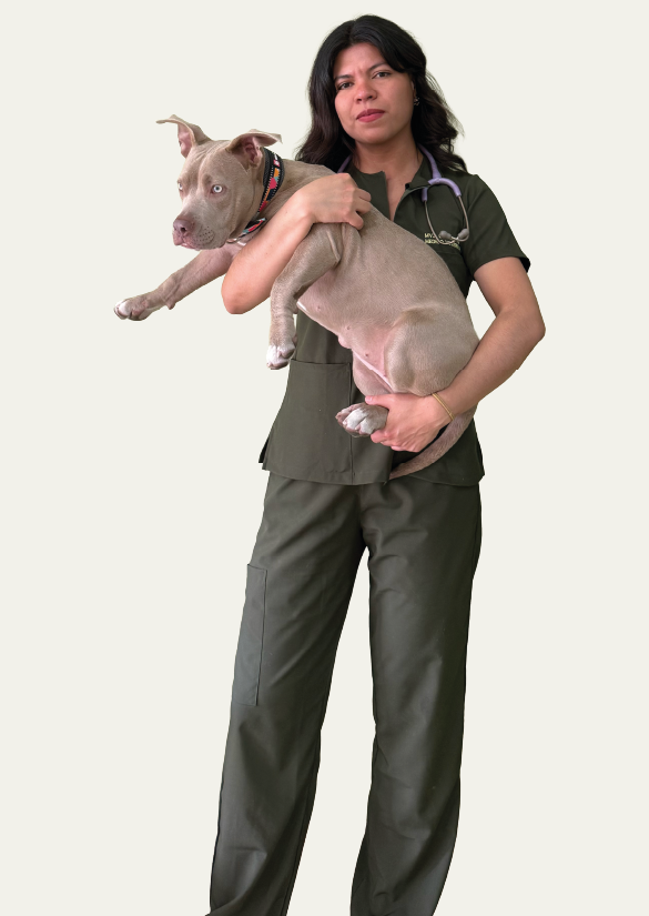 Mesa de trabajo 1 copy 2 Mesa de trabajo 1 copy 2